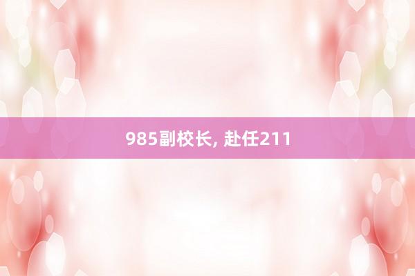 985副校长, 赴任211